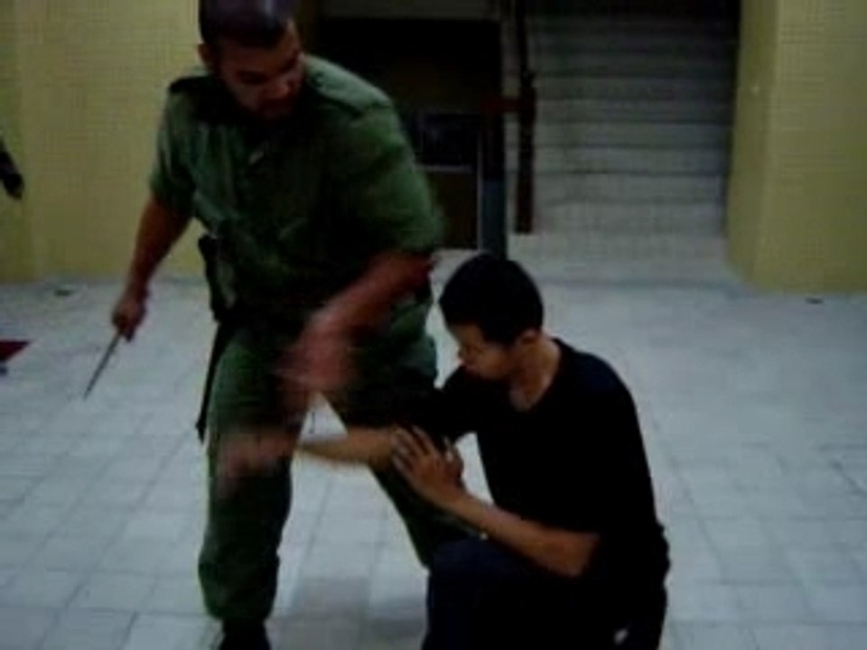 Silat mubai introvid