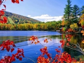 YAVUZ BİNGÖL-TURNALARA TUTUNDA GEL