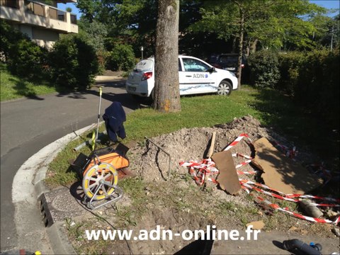 détection de fuite dans un mur sans casse voir l'invisible ADN
