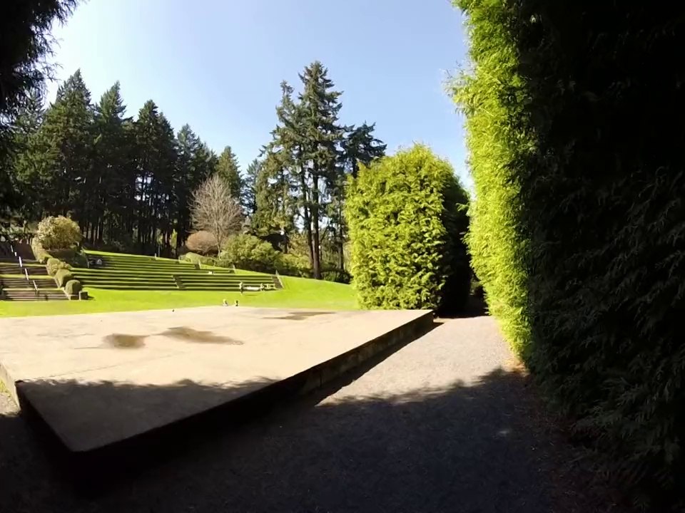 Washington Park 5