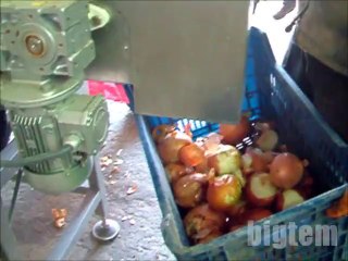 SOĞAN TEPE UÇ KESME/ONION TOP AND TAIL TRIMMER