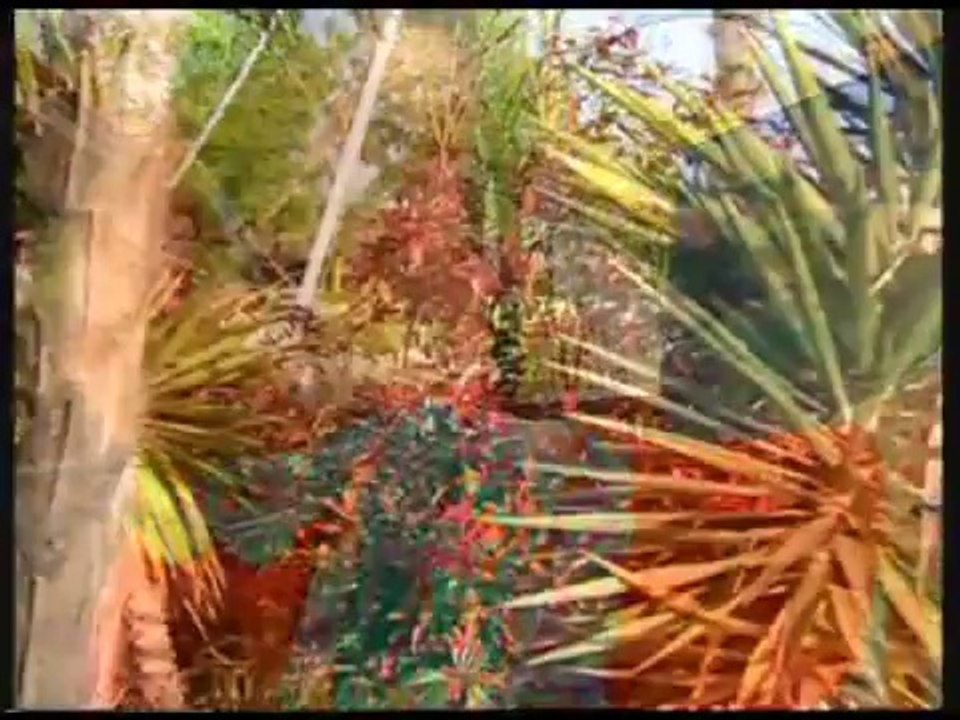 Selda Bağcan- Dön Gel Birtanem.