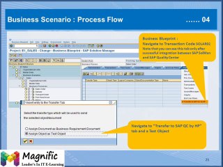 Test Automation with SAP Solution Manager 7.1 and HP QTP