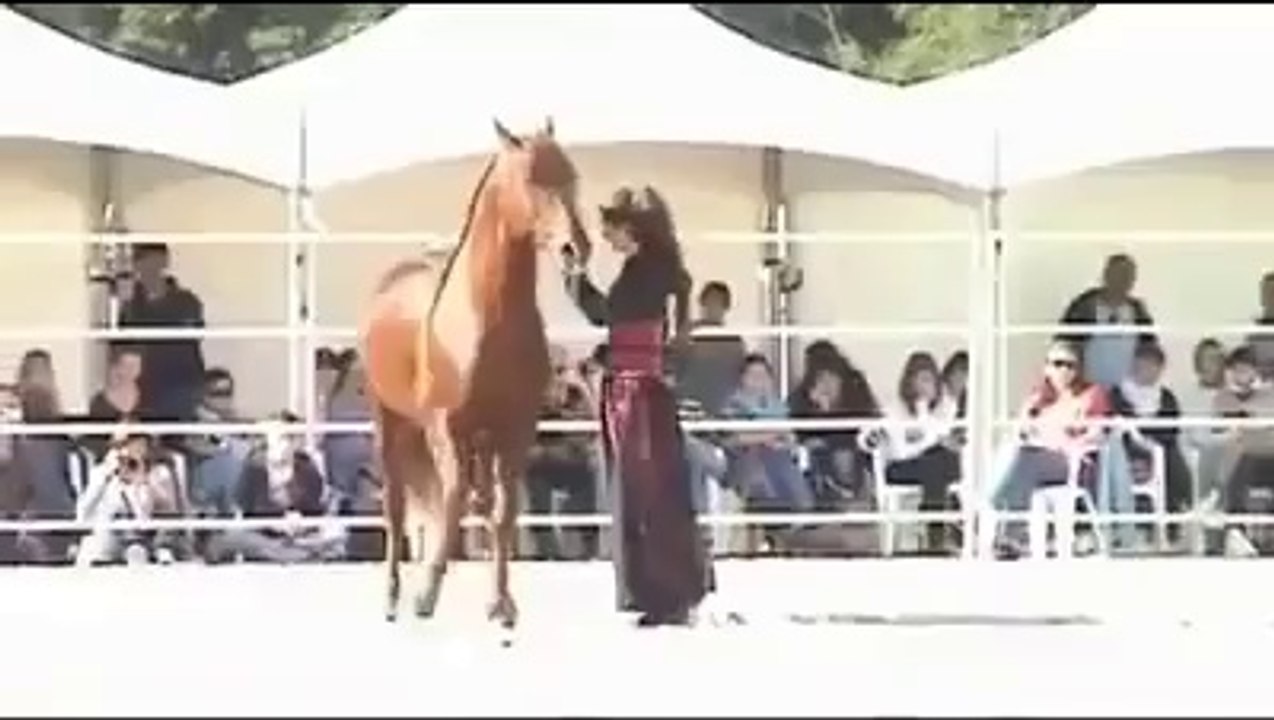 ÇERKES MÜZİĞİ VE ATIN MUHTEŞEM GÖSTERİSİ By Daraske