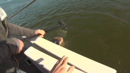 Une journaliste fini à l'eau.. Gros Fail en direct!