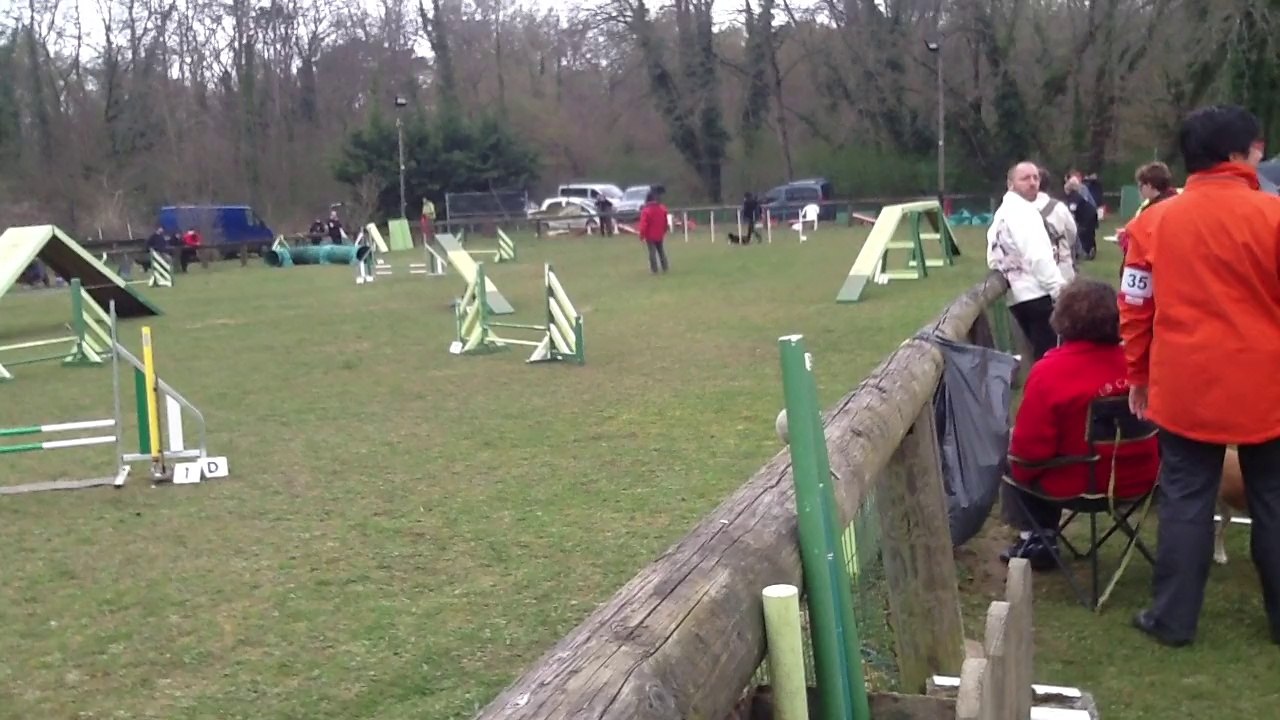 Agility