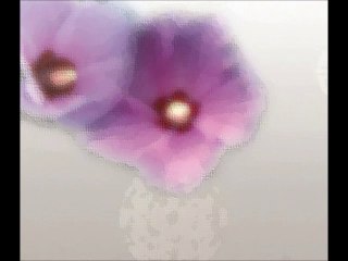 sessiz harfler video