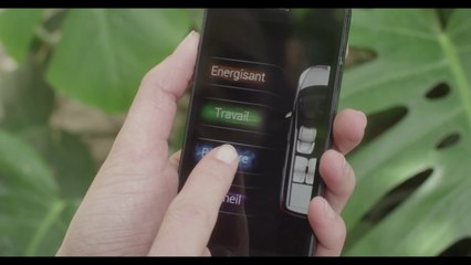 Expérience polysensorielle : relaxer et énergiser - Innovation PSA ( www.feline.cc )