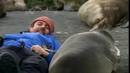 Simple Beauty Of Mother Nature And  Unconditional Love Of Innocent Animals!