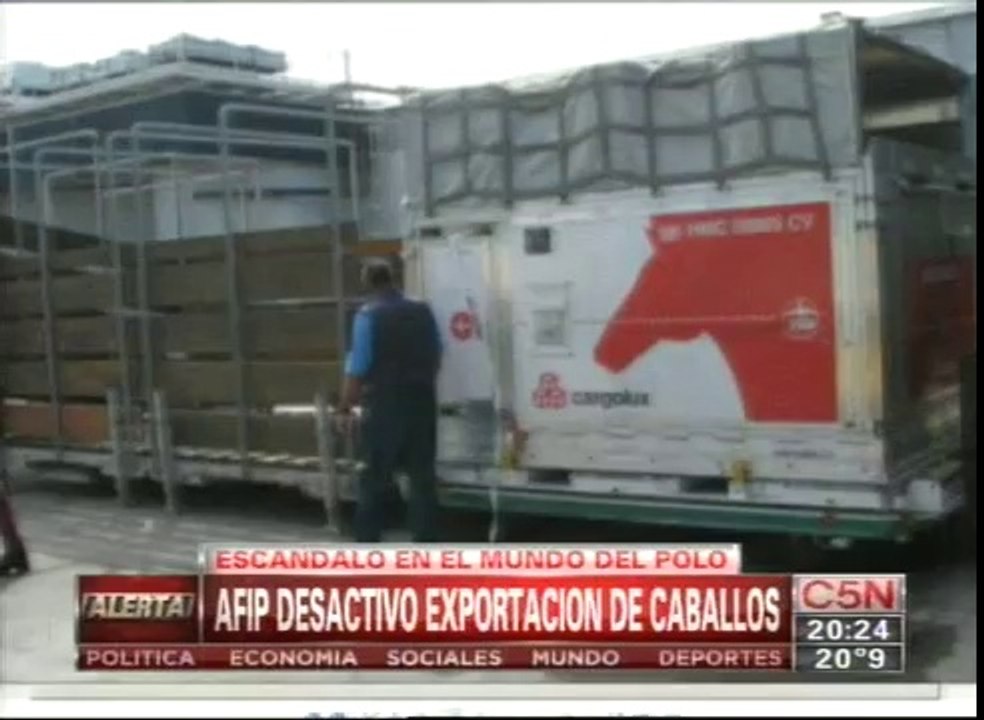 C5N - POLICIALES_ LA AFIP DESACTIVO UNA EXPORTACION DE CABALLOS