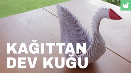 Kağıttan Dev Kuğu Yapımı