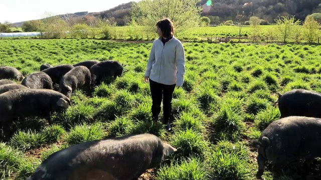 WEBSERIE METIERS AGRICOLES #3 Eleveuse du porc noir de Bigorre, dans les Hautes-Pyrénée