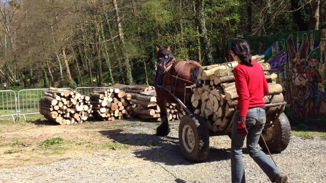 Démonstration de débardage