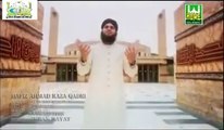 Allah Tera Shukar Hai By Hafiz Ahmed Raza Qadri New naat 2013 Qtv