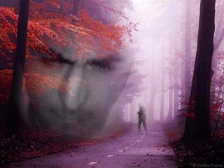 teyfik doğan- neden