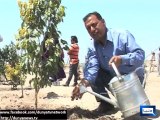 Dunya News-7000 trees planted by Lahore students as awareness campaign