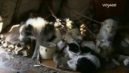 Les routes de glaces en Sibérie