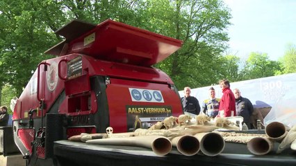 La Belgique détruit 1,5 tonne d'ivoire illégal