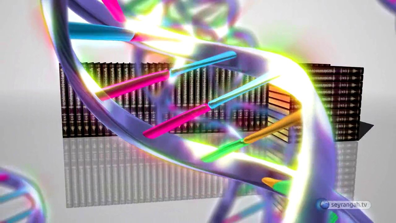 19- Yaratılıştaki mana (Yaratılış Delilleri)