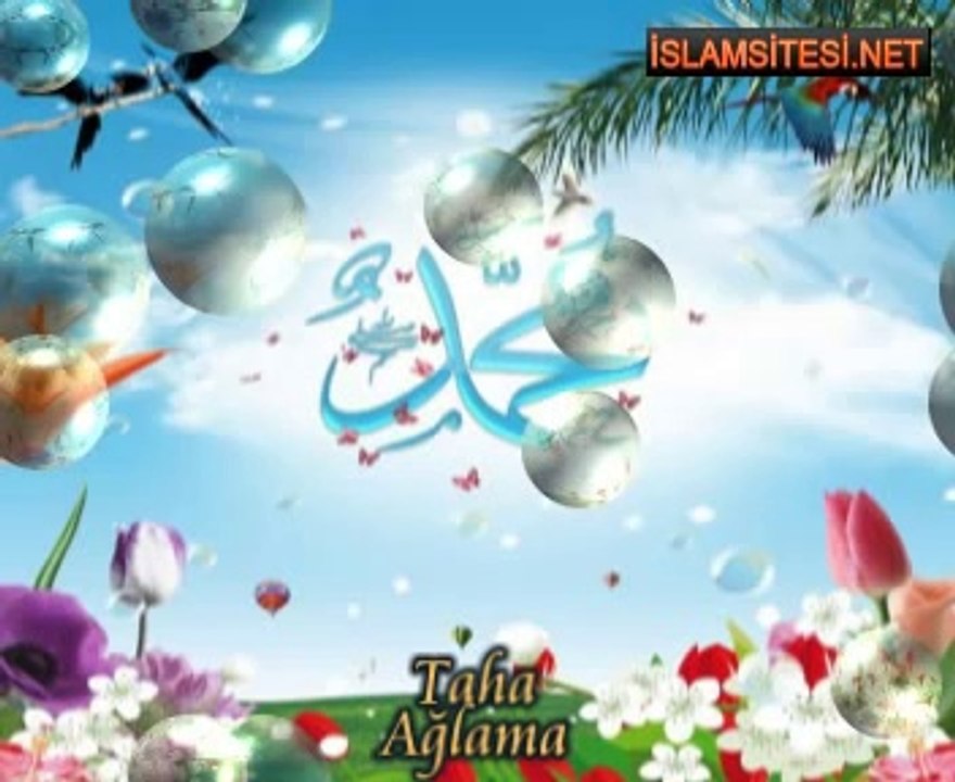 Ağlama - Taha