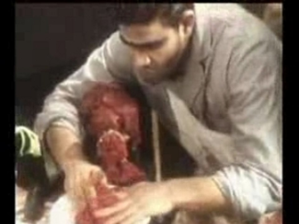 Les Garcons Bouchers - carnivore