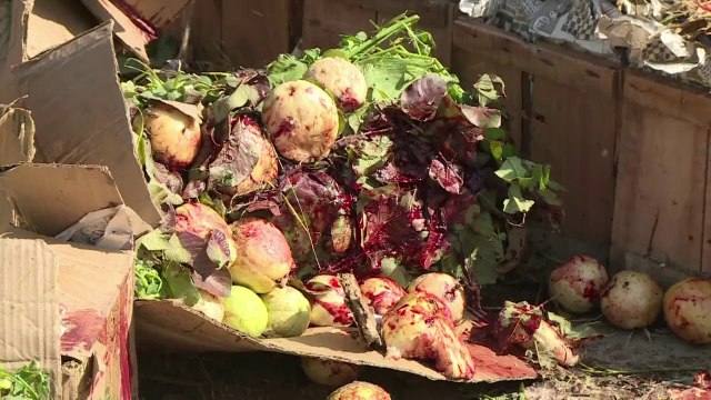 AFP - Le JT, 2e édition du mercredi 9 avril