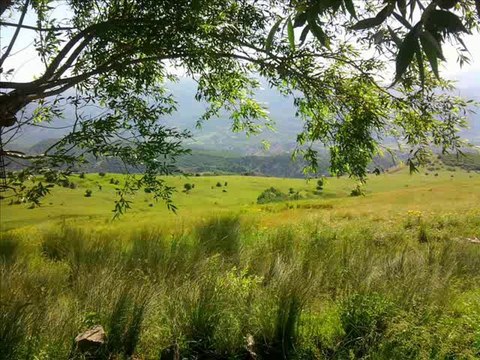 HOZAN ZOZAN VE XELİL XEMGİN HEY LE DAYE MUŞ YAMAÇ KÖYÜ KARAHAMZ UZUN HAVAH