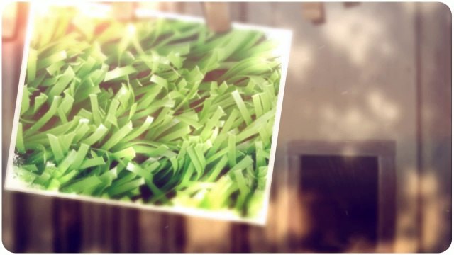 My Secret Garden Landscaping Design - (847) 232-0336