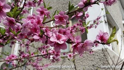 Samsung Galaxy S5 vs Samsung Galaxy Note 3