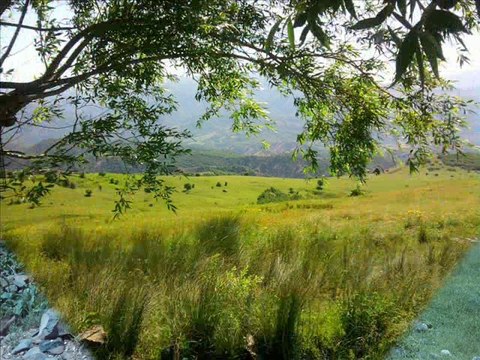 HOZAN SİDAR BERİTAN UZUN HAVAH MUŞ YAMAÇ KÖYÜ KERRAN HESTRANA ME BARİ