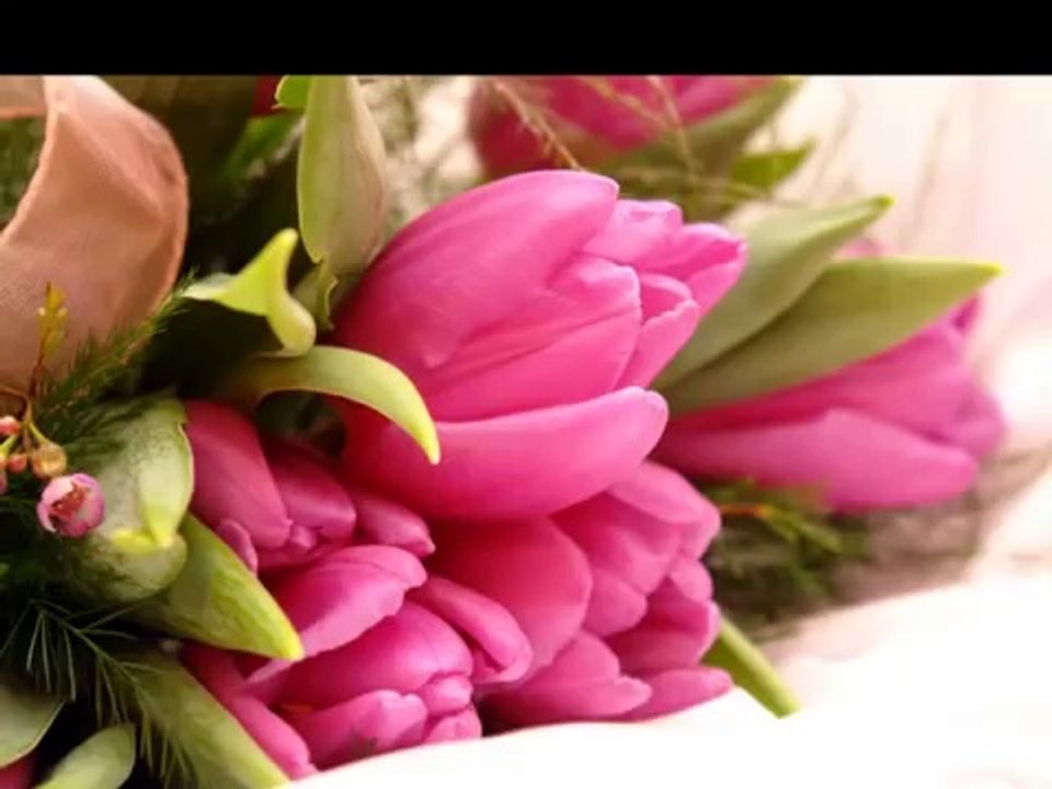 Vücûd ikliminin sultânı sensin...  Elif Ömürlü Uyar