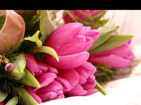 Vücûd ikliminin sultânı sensin... Elif Ömürlü Uyar