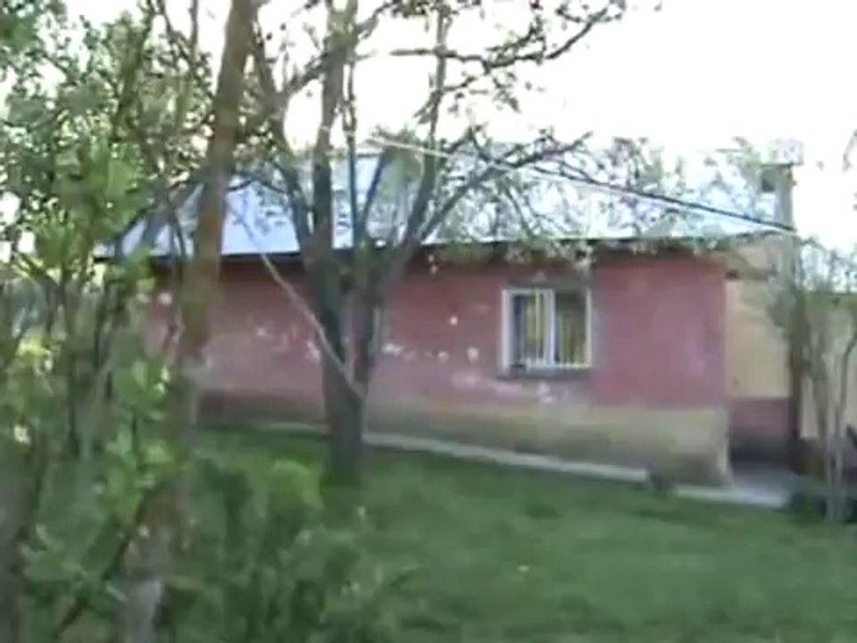 şavgı beyin değirmeni