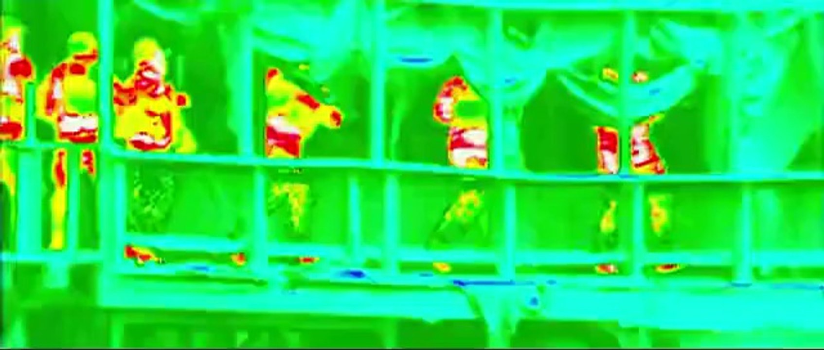 Transformers Kayıp Çağ Türkçe Dublaj Fragman -