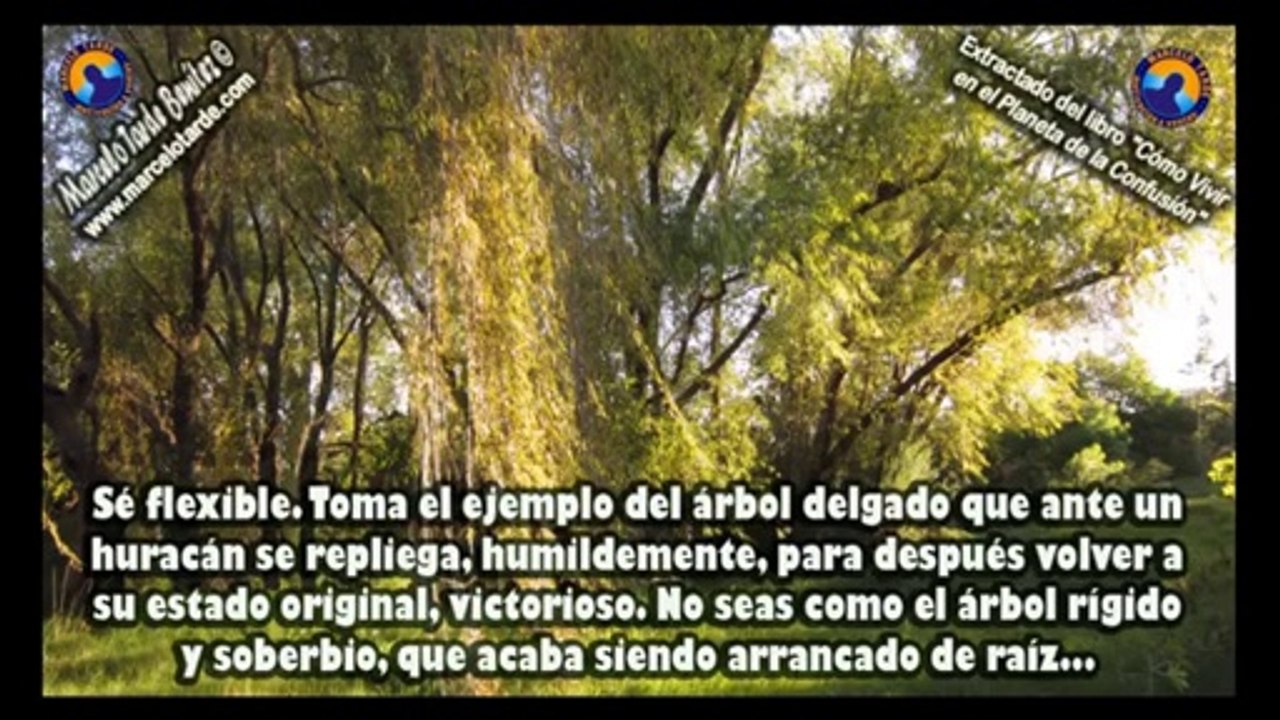 Mejores Reflexiones de Marcelo Tarde 4