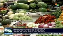 Productores de cebolla panameños piden cancelar TLC con Estados Unidos