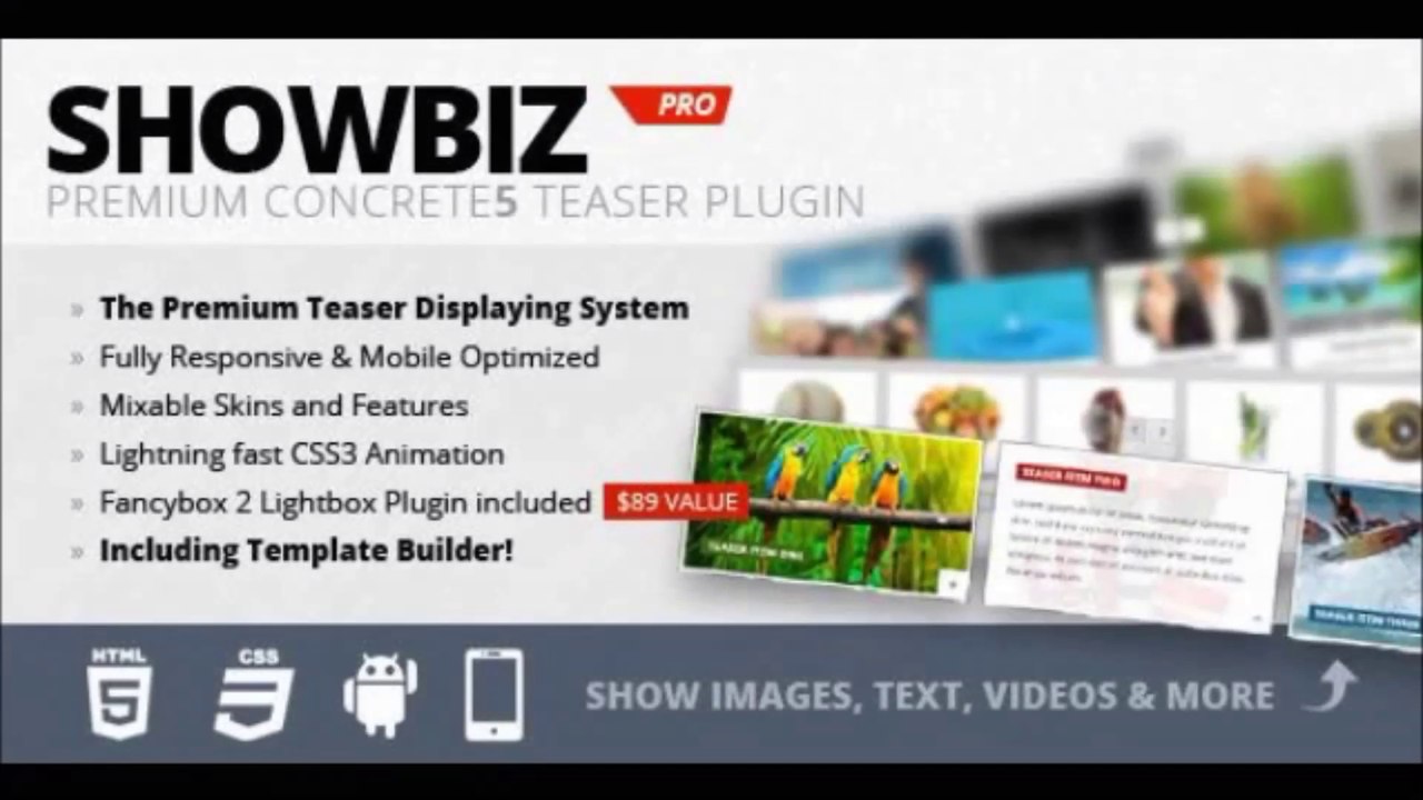 Showbiz Pro Responsive Teaser Concrete5 Add-On