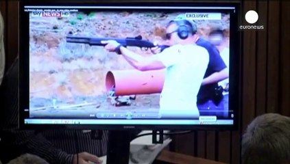 Le contre-interrogatoire musclé d'Oscar Pistorius