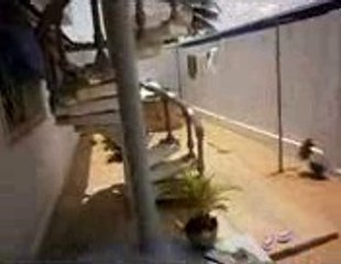 imma boss in my room