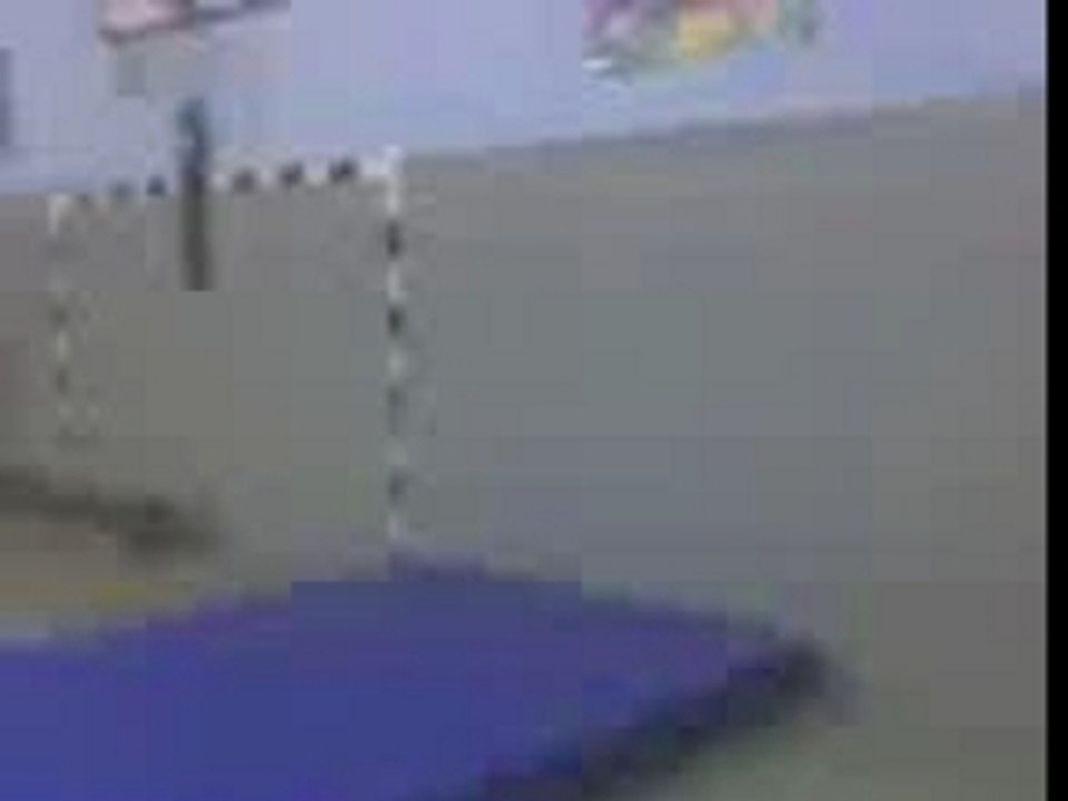WALLFLIP.HECTOR··PMC··