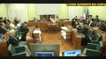 Elezione capogruppo M5S Senato, ballottaggio Buccarella/Bulgarelli - MoVimento 5 Stelle