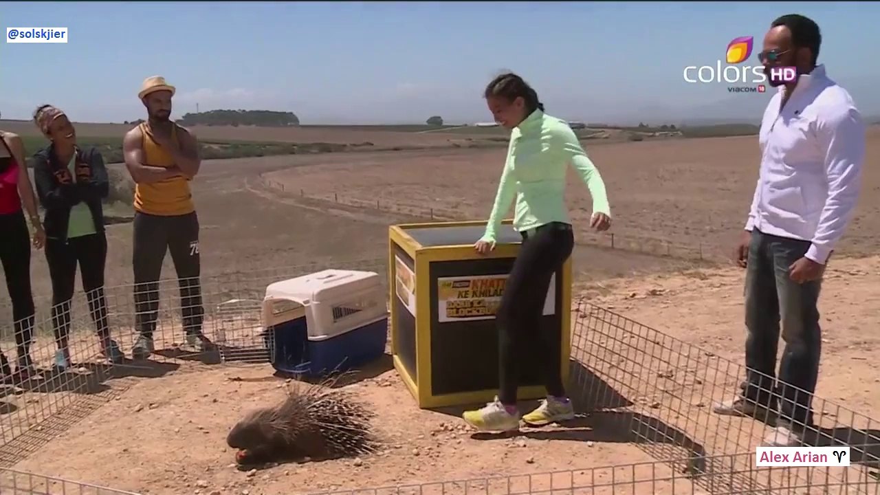 Gauahar & The Porcupine.mp4