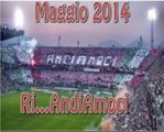 Ri...AndiAmoci. La cavalcata del Palermo dalla 1° alla 33° giornata serie B 2013-2014