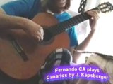 Fernando Technoflasher -plays Canarios