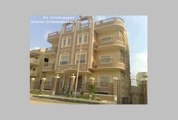 Apartment for rent in Nerjs  New Cairo city