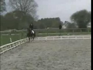 Nicephore Dressage2