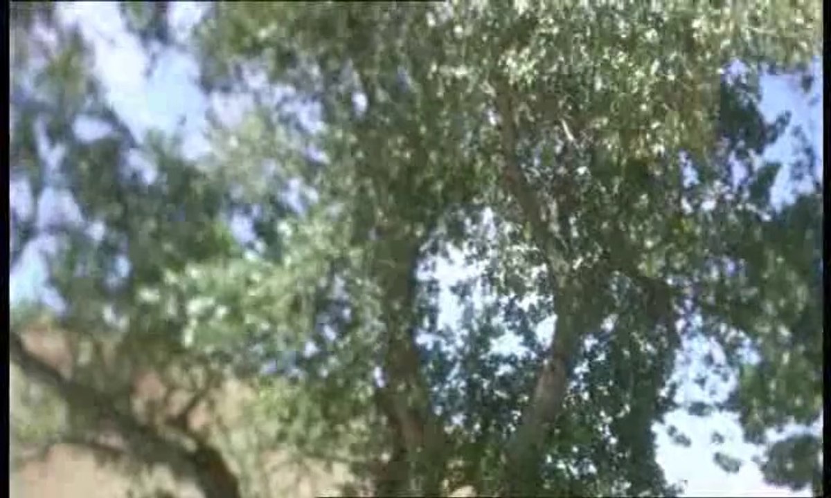 Afirmaciones, Louise Hay - sub.ES