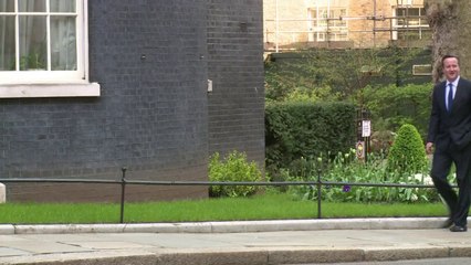 Irish President meets David Cameron on historic state visit