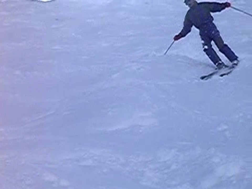 champ de bosses dans les pyrennées