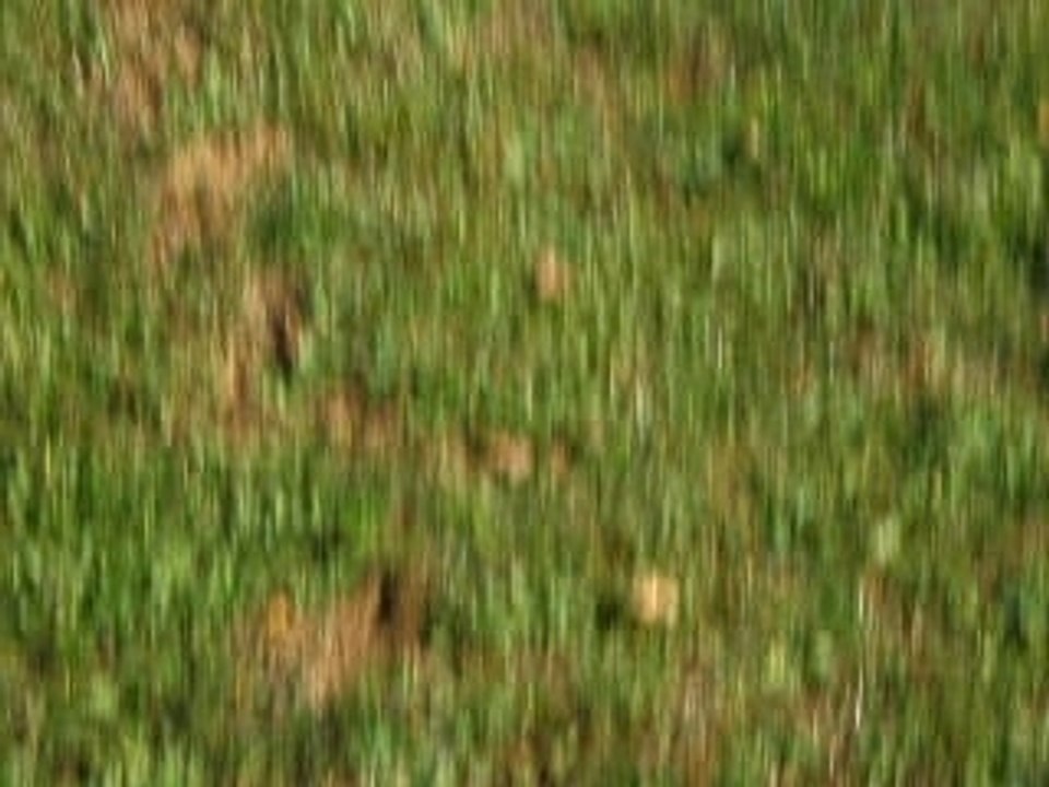 championnat de lorraine proto madine (4)